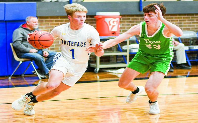 ANTELOPES TAKE ON EAGLES - Whiteface Antelope Luke Gresham drives on the baseline while Ropes Eagle Cutter Stumbo guards him during their district basketball game this past Tuesday. (Staff photo by Jentezen Smith)