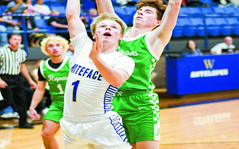 FOUL OR CLEAN? - Whiteface Antelope Luke Gresham draws a foul on Ropes Eagle Cutter Stumbo during their district basketball game this past Tuesday at Whiteface High School. The call drew reactions from the Ropes crowd, players and coaches. (Staff photo by Jentezen Smith)