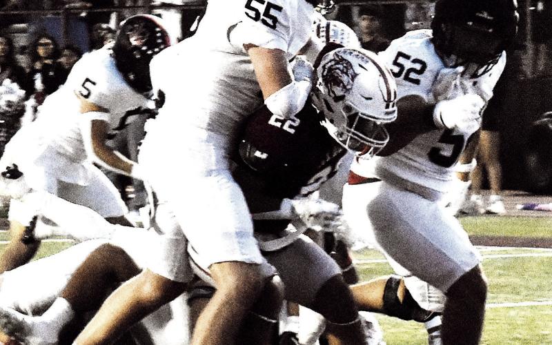 Lobos bounce back against Wildcats to win