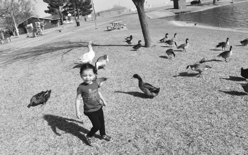 ENJOYING THE DUCKS- Victoria Renteria and her mom Eva Rveda where visiting the ducks on Wednesday at the Brashear Lake feeding them and walking around with them and enjoying each other mom and daughter time. pictured is Victoria Renteria.(Staff photo by Emily Campos)