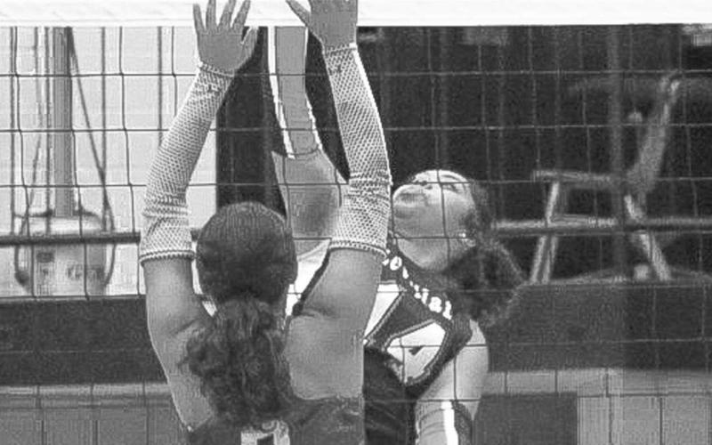 KILL - Levelland Loboette Trinity Wafer send her shot at the Littlefield defense this past Tuesday at home. Wafer led her team in kills with 13 on the night. (Staff photo by Aalijah Soliz)