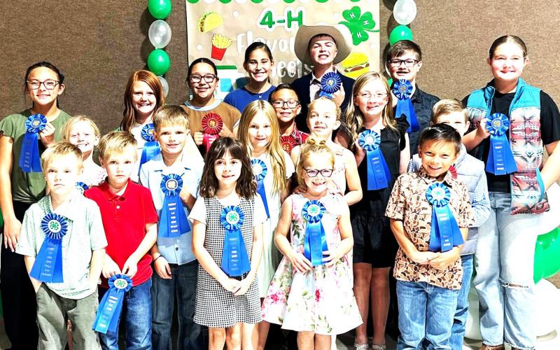 The Hockley County 4-H Food Show was hosted by the Ropes 4-Club and Ropes Methodist Church. Judges for the event were Donna Pugh, Kristi Chase, Judy Gray, Maryan Moore, Jacque Myatt, and Amber Lambright. The theme for the show was 4-H Flavor on Wheels.