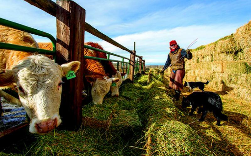 Addressing limited resources in the agricultural sector