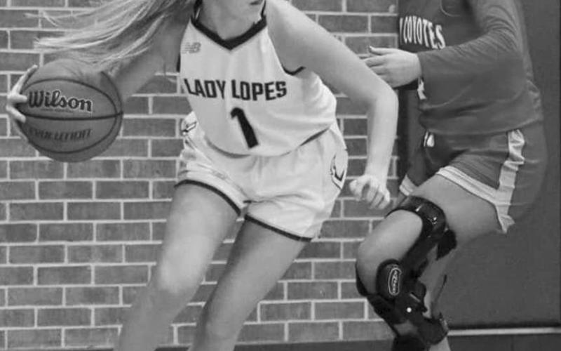 GOING AROUND - Whiteface’s Emily Blankenship looked to turn the corner against a Borden County defender in a 35-34 Lady Lope win to open the Way Out West Tournament in Whiteface Thursday. The Whiteface girls won the tournament with a 5-0 finish and will host Seagraves Monday at 7 p.m. (Photo by Holly Crutcher)