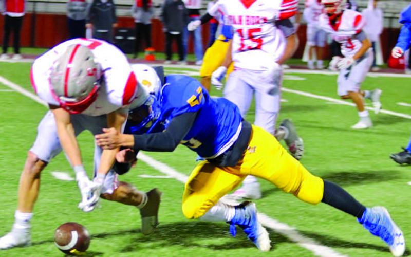 FUMBLE RECOVERY- Noah Rendon got a fumble recovery in a 56-6 domination by the Whiteface Antelopes over the Van Horn Eagles in the bi-district round of the UIL Class 1A-1 Region II high school football playoffs in Rankin last Friday. Whiteface will play Rankin in the area round next Friday in Gail at 6 p.m. (Photo Courtesy of Holly Crutcher)
