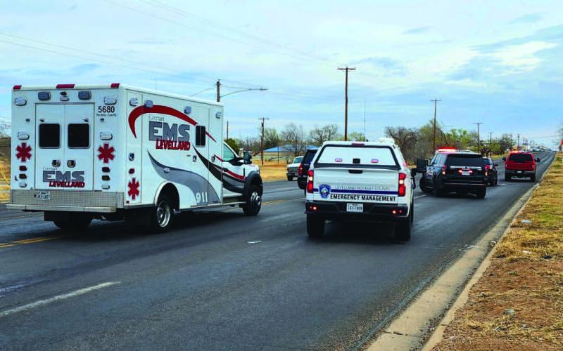 City Council returns food truck ordinance