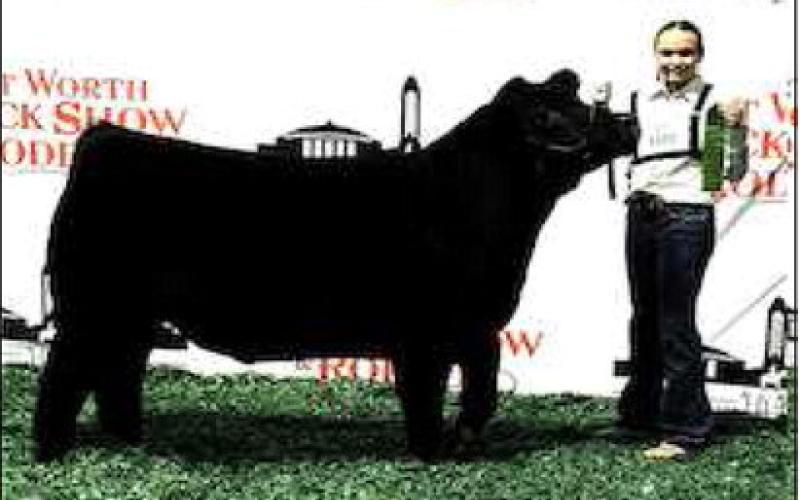 SIXTH PLACE - Smyer Hunter Jeffcoat placed sixth with her Angus at the Ft. Worth Stock Show. (Photo courtesy of Ft. Worth Stockshow)