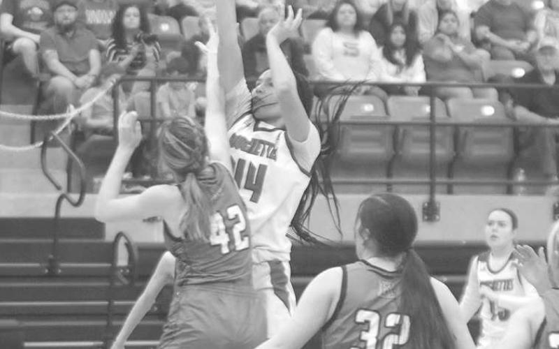Roughettes out duel Lady Eagles, 53-44