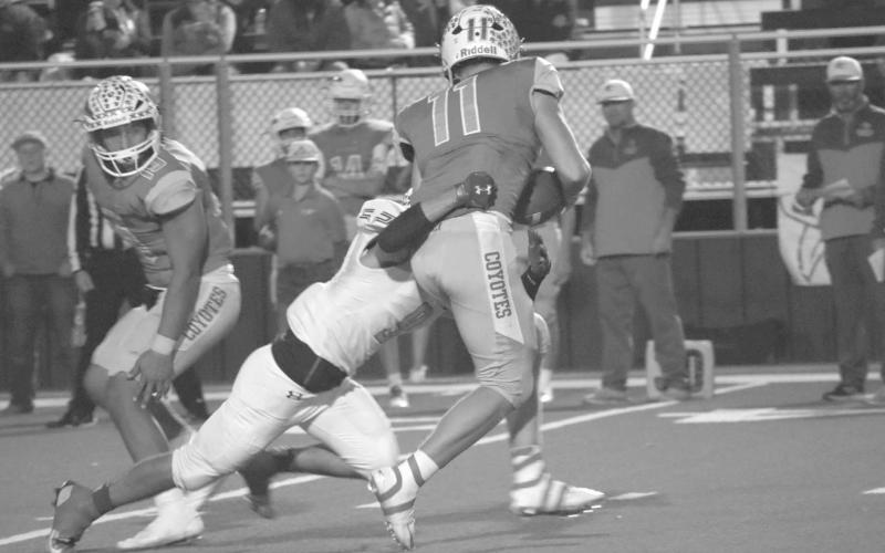 SACKED - Whiteface Antelope Noah Rendon busted through the offensive line to sack the quarterback last Friday night during the teams Area Round of playoffs. (Staff photo by Aalijah Soliz)