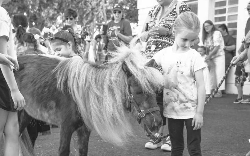 THE MANE ATTRACTION – Pictured is one of the miniature ponies brought by Minis and Friends, Buttercup. Buttercup is 18 years old and was at the event Minis and Friends held by the Hockley County Memorial Library on Wednesday, to show love to the children. Buttercup was accompanied by Snowball. Buttercup is also Snowball’s sight seeing buddy. (Photo by Hannah Woodrum)