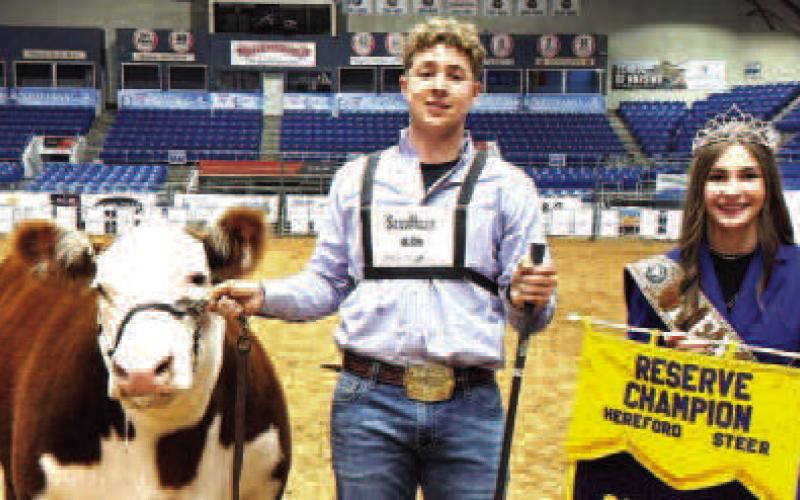 STEER WINNER