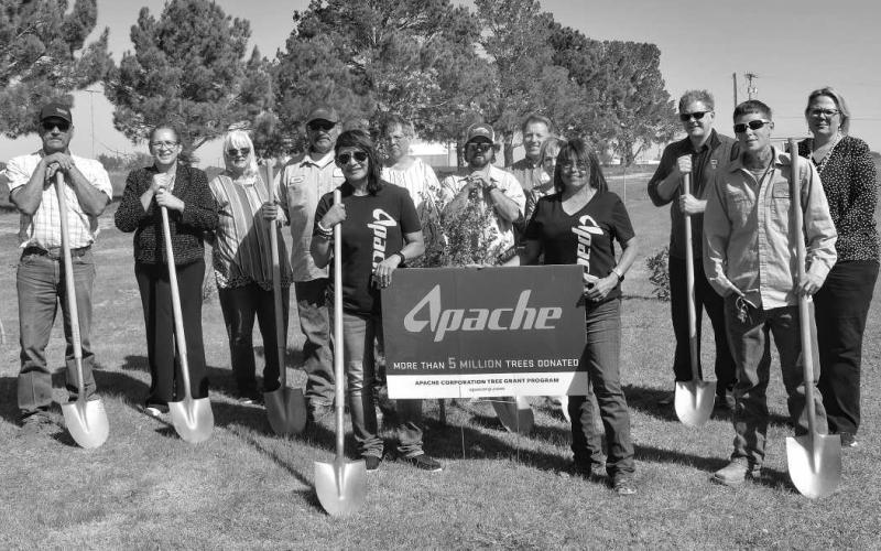 APACHE TREE GRANT