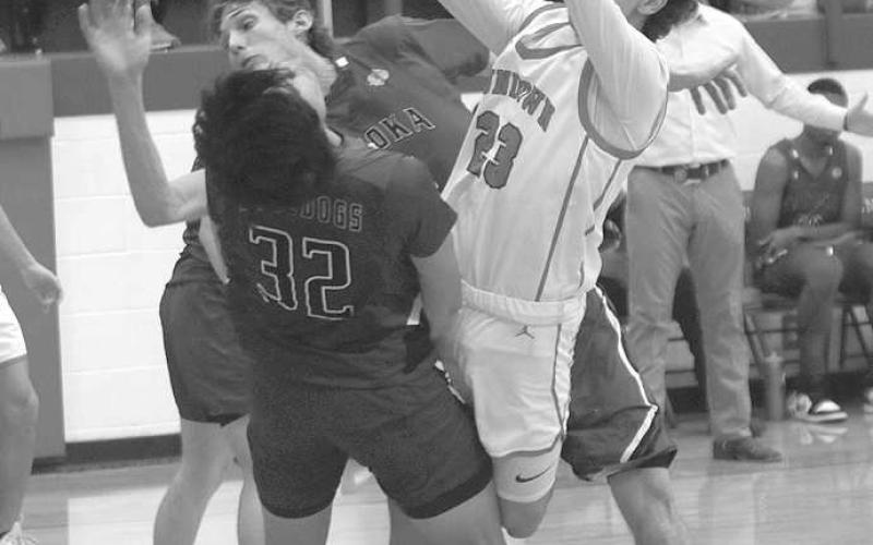 Lady Eagle hoops come home with playoff gold