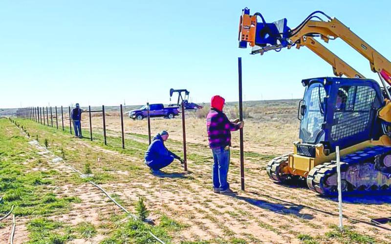 NEW CEMETERY FENCING - Over 900 feet of posts were placed for new fencing at the Whiteface Cemetery - Baldwin Addition last week. Pictured is Matt Paterson, his son Caleb, Zac Dewbre, Josh Stroud and Matthew Sinclair getting all the posts in place. (Photo courtesy of Terry Taylor)