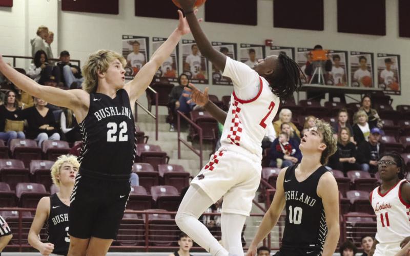 CONTROL - Levelland Lobo Elijah Jordan layed the ball up against the Bushland defense during their contest last week in the Littlefield Tournament. (Staff photo by Aalijah Soliz)