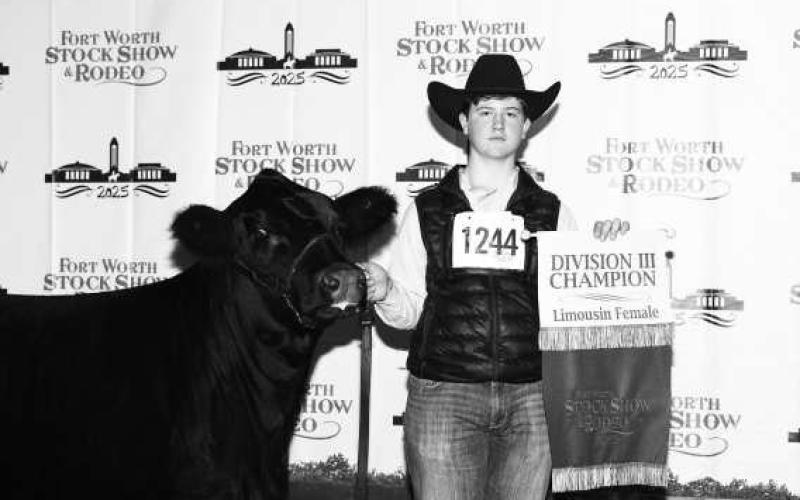 DIVISION III CHAMPION- Pictured is Colt Parkinson who earned Division III in the Limousin Heifer Division at the 2025 Forth Worth Stock Show. (Sumbitted Photo)