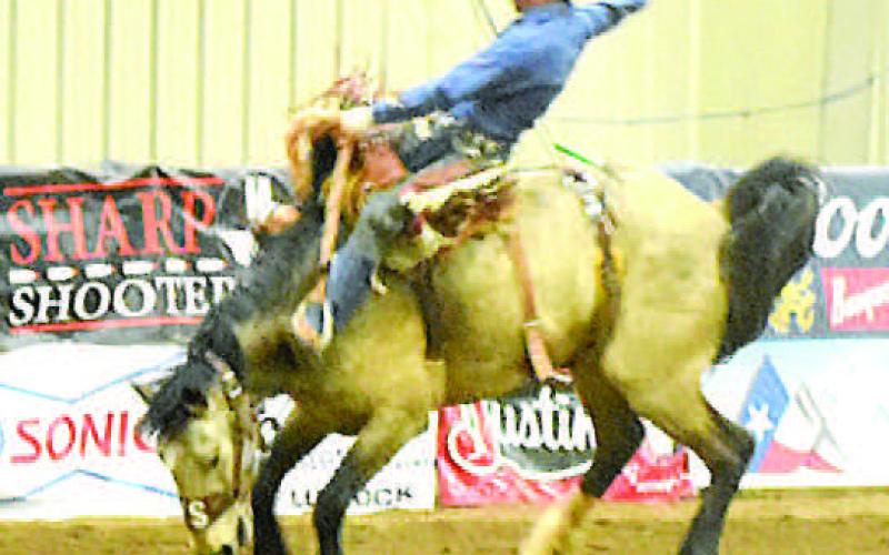 RODEO FUN-- Sanctioned performances this past weekend at the ABC Rodeo featured bareback riding, saddle bronc riding, steer wrestling, calf roping, team roping, barrel racing, breakaway roping and the crowd-favorite bull riding. (Staff photo)