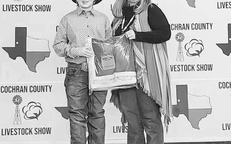 JR RESERVE SHOWMAN - During the Cochran County Livestock Show, Randall Willis earned Jr. Reserve Showman, Grand Champion Rabbit and Reserve Grand Champion Rabbit. (Photo courtesy of Shay Butler)