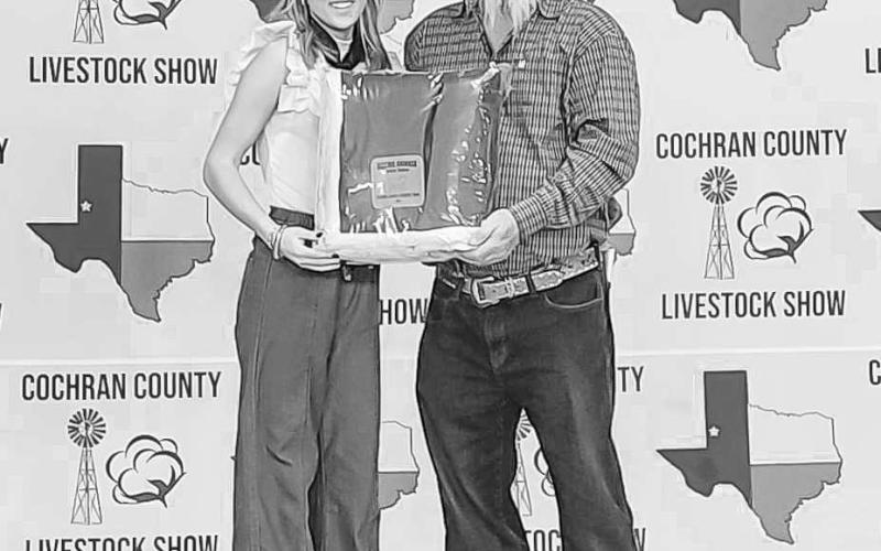 SR RESERVE SHOWMAN - During the Cochran County Stockshow, Brailey Baker earned Sr. Reserve Showmanship and Reserve Grand Champion Steer. (Photo courtesy of Shay Butler)