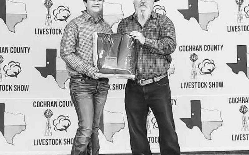 SR RESERVE SHOWMAN - During the Cochran County Livestock Show, Noah Jaime earned Sr. Reserve Showman. (Photo courtesy of Shay Butler)