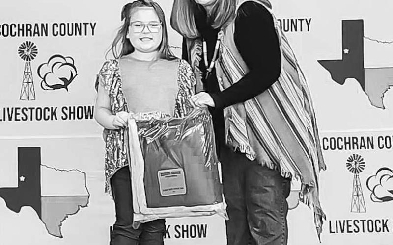 JR RESERVE SHOWMAN - During the Cochran County Livestock Show, Kenslee Clark earned Jr. Reserve Showman, Reserve Grand Champion Lamb and Grand Champion Heifer. (Photo courtesy of Shay Butler)