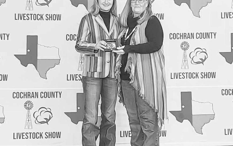 GRAND SENIOR CATTLE SHOWMAN - During the Cochran County Livestock Show, Maddison Bedford earned Grand Sr. Cattle Showman and Grand Champion Steer. (Photo courtesy of Shay Butler)