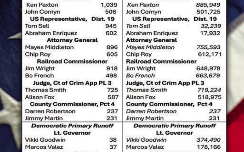 Key nominations emerge after runoffs
