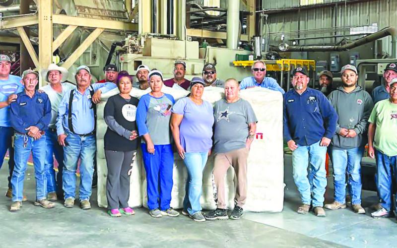 FIRST BALE OF COCHRAN COUNTY - Willingham Southwest Cotton Gin, Inc., has announced that have had their bale courtesy of Producers Austin and Brandi McCasland as of September 26. (Photo courtesy of Lesli Willingham.