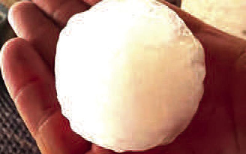 LARGE HAILSTONE Severiano Hinojos captured a photo of the large hailstone produced by the Tuesday evening thunderstorm. (photo courtesy of Severiano Hinojos).