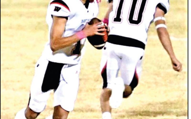DROPBACK TO THROW - Whitharral senior quarterback Damian Rodriguez drops back to pass during a game against Anton this past Thursday at Bulldog Stadium. (Photo provided by Whitharral ISD).