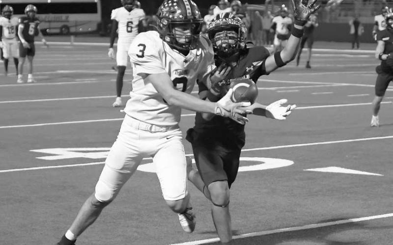 TOUGH CATCH - Levelland Lobo Gage Potter caught the tough deep ball against the Indians defense this past Thursday in Denver City. (Staff photo by Dom Puente)