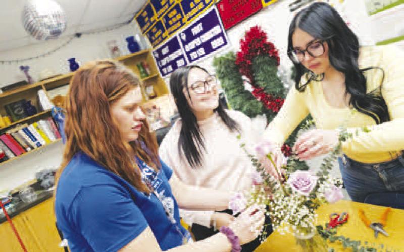 VALENTINE’S ARRANGEMENTS --LHS Floral Design classes were hard at work last week, practicing their flower-arranging skills as they created Valentine’s arrangements. Students showcased their creativity, technique, and sense of symmetry as they applied what they’ve learned in Mrs. Tori Henderson Williams’ class. Each arrangement required careful attention to balance and to complementary and analogous color schemes. (Levelland ISD photo)