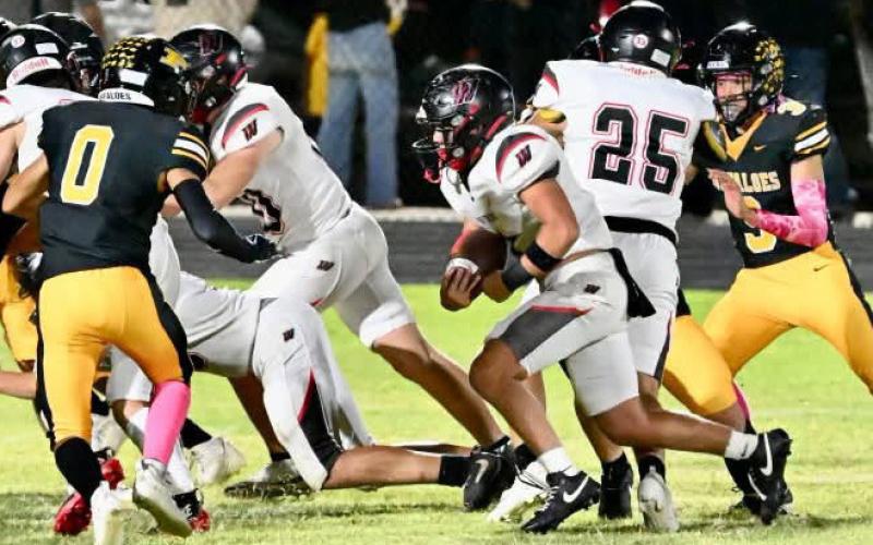 Whitharral Panthers on the move against Petersburg.