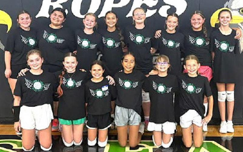 Volleyball season gets underway