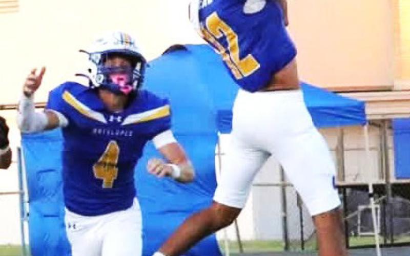 Whiteface vs El Paso Photos by Holly Crutcher