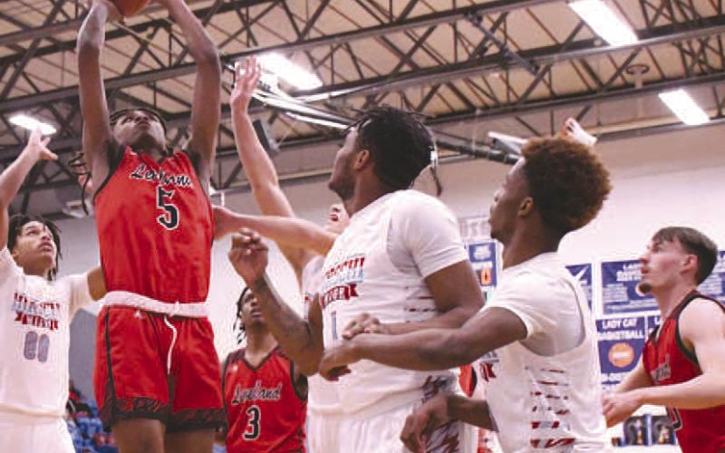 Area round loss ends Lobo season