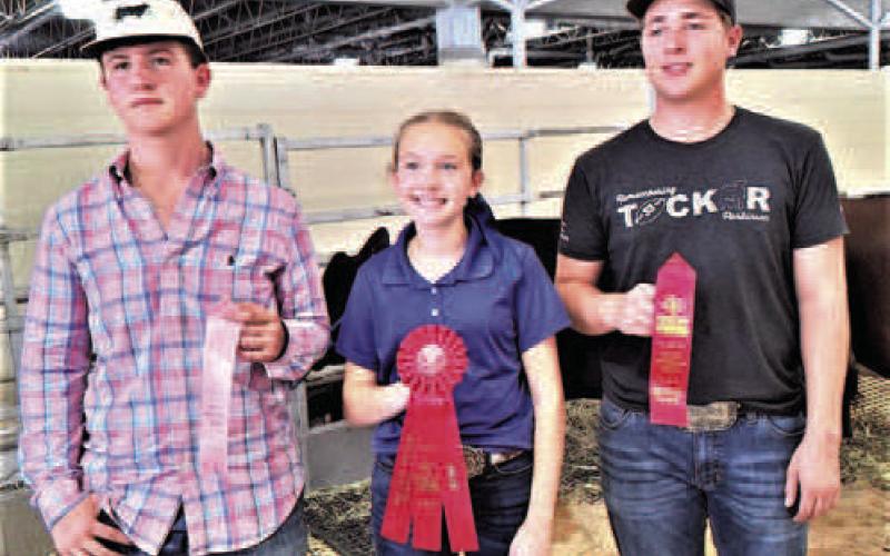 STATE FAIR WINNERS-- Hockley County 4-H members had a good day on Thursday at the State Fair of Texas. Copper Popelka placed 2nd, Shorthorn, Class 3, Heavyweight British; Kynlee Mae Thomas, 2nd, Exotic, Class 10, Lightweight Black &amp;amp;amp; Red Cross; and Colt Parkinson placed 4th, Shorthorn, Class 1, Lightweight British. (Submitted photo)