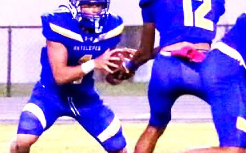 Whiteface defeats Logan, 70-12