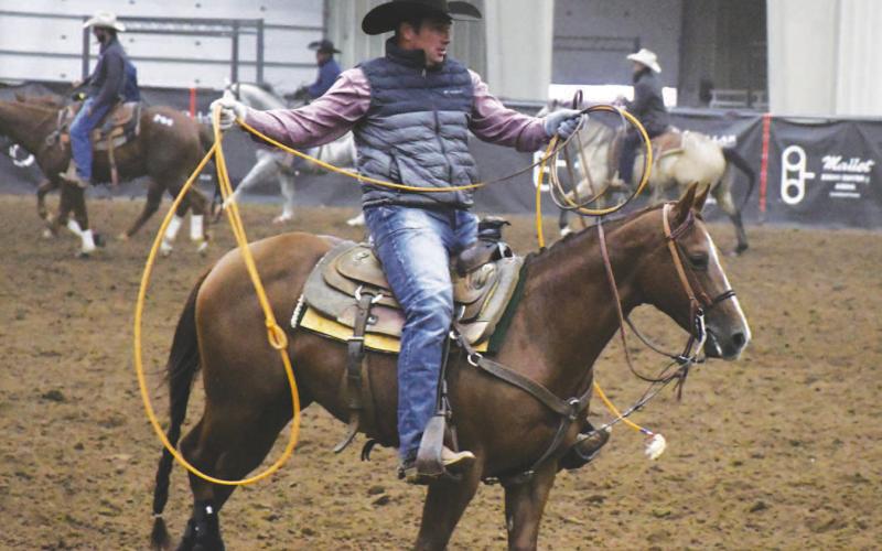 BEST OF THE BEST - Drawing in an impressive crowd from the entire country, the Clovis Horse Sales brought in 256 horses. Making the move to Levelland over three years ago, the Clovis Horse Sales crew has seen steady growth and the quality of horses increase as they continue to schedule sales throughout the year. (Staff Photo by Dom Puente)