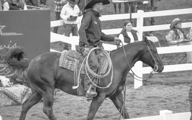 POPULAR PICK – Spooky Smart Whiz trotted around in front of the audience while receiving bids during Nov. 23’s Clovis Horse Sale at the Mallet Event Center. (Staff photo by Evin Thomas)