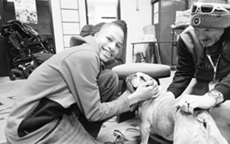 THERAPY DOG