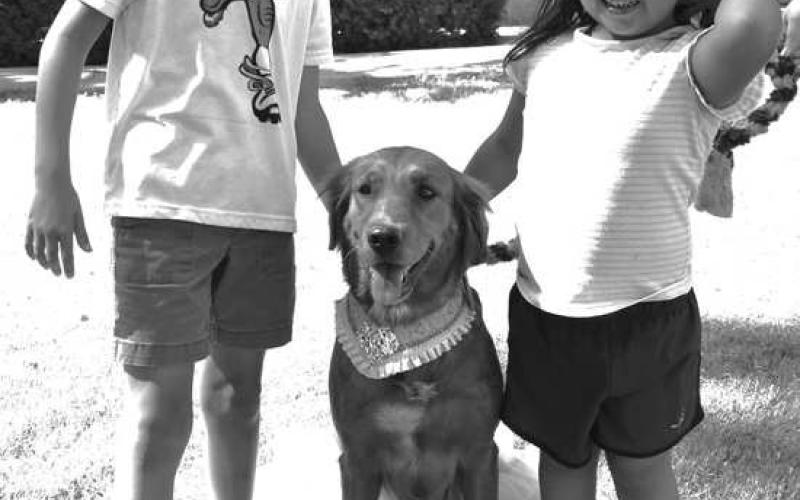 ALL SMILES - Pictured is Cameron Castillo and Remy Ybarra with Nix on the downtown Levelland square during the Hockley County Library summer reading program, June 28. Medical alert dogs can sense medical crisis’s and then communicate it to the handler. (Staff photo by Emily Campos)