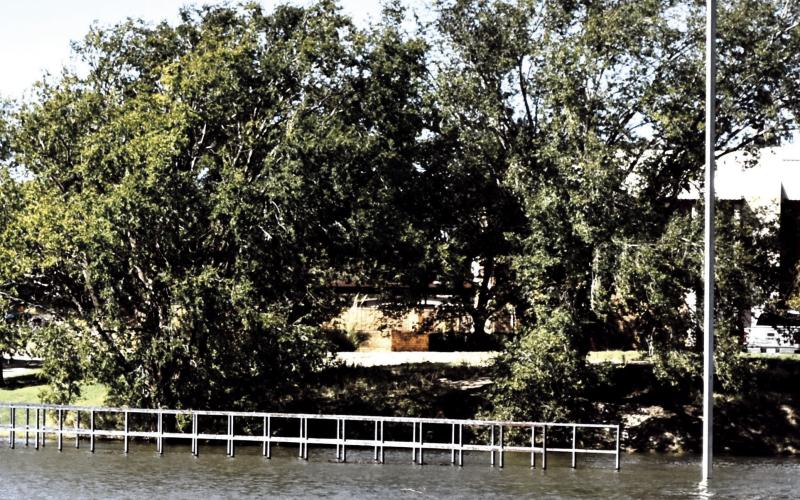 City lakes overflowed as recent Sept. 29 rainfall brought water levels up enough to flood walkways, bridges and piers. Rainfall totals across Hockley County for Sept. 29 and Sept. 30, ranged generally from 0.36 to over 1.38 inches depending on the specific area, according to data from the West Texas Mesonet.