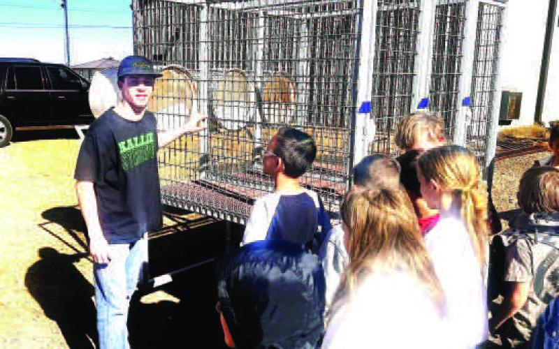 Whitharral FFA held a practice Ag Mechanics show this past week leading into the Hockley County Junior Livestock Show, with numerous chapter students displaying their projects, hard work and preparation for the upcoming competition. The Hockley County Ag Show will be held on Jan. 21 beginning at 1 p.m. at Mallet Event Center.