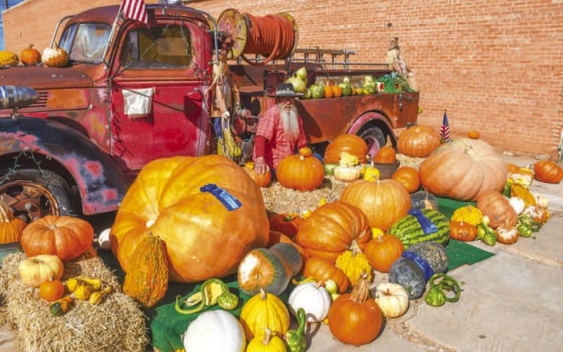 PUMPKIN PATCH – A variety of pumpkins and gourds grown by Cochran County resident Gene Lynskey were arranged and displayed for the season next to the Butterfly Kisses floral shop in Morton. Lynskey hopes to provide seeds to community members from his selection to help bring a community event in the future. (Staff photo by Evin Thomas)