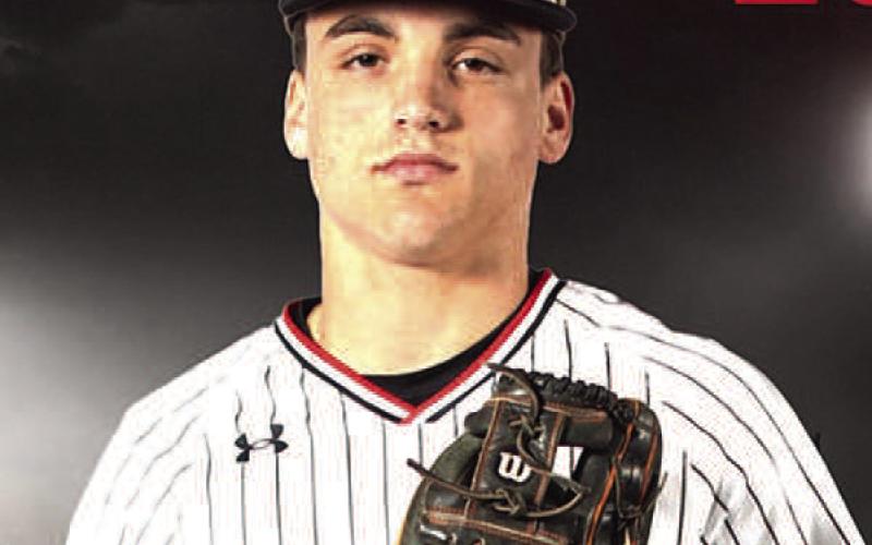 10 Lobos earn All-District baseball honors