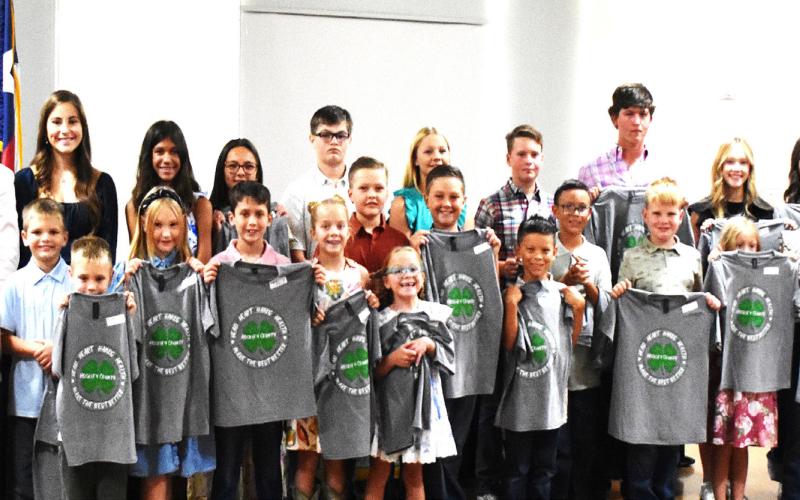 Hockley County 4-H members receive honors, recognitions