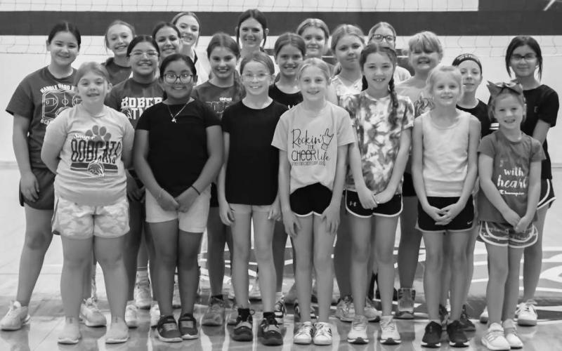 VOLLEYBALL COMPETITION - The Smyer Bobcat All-Sports Camp participants learned volleyball fundamentals and sportsmanship Wednesday at Smyer High School. The camp was open to incoming second graders through incoming ninth graders. Campers were taught the fundamentals for basketball, volleyball, football and baseball throughout the week. (Staff Photo by Victoria Byrnes)