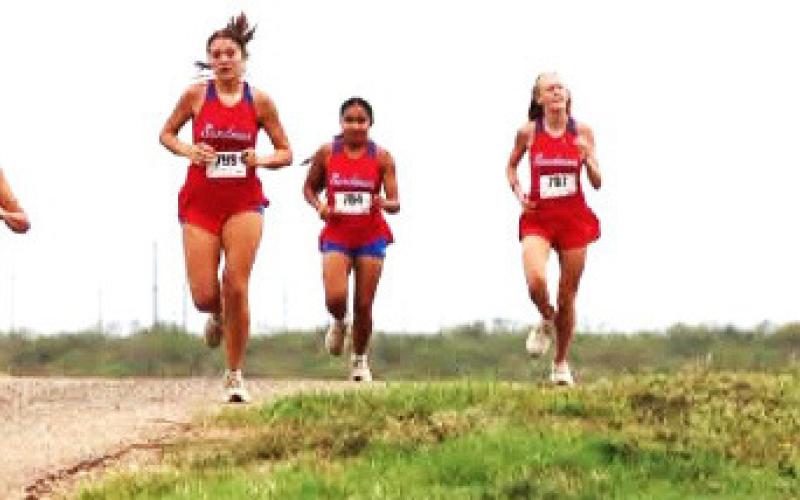 Region 1 Cross Country Championships