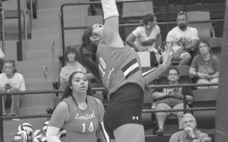 GOOD OFFENSE - Loboette Mia Morin hit the ball over the net after a close call on defense set her up to send the ball over to the Plains Cowgirls this past Tuesday at home. (Staff photo by Aalijah Soliz)